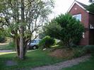 House with grassy slope in front garden.
Telephone pole and trees.