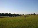 Grassy area with small tree.
Fence around playing field.
Rugby goal.
Dark trees in the background.
Slope on right up to road.