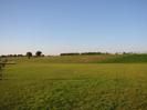 Grassy area with slope up to road in the distance.