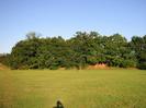 Grassy area with bank of trees along road.