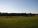 Grassy area.
Low fence with playing field beyond.
Dark trees in the distance.