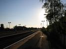 Railway platform with lamp-posts.
Dark trees on the right.