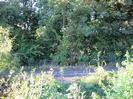 Road with large trees on the far side.
Iron railings on near side with low bushes.