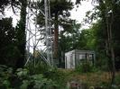 Cellphone mast and equipment cabin set among large trees.