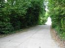 Entrance to station car-park.
Trees on both sides.