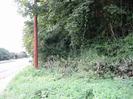 Road on left with bus-stop.
Telephone pole and trees on right.