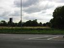 Road with field and trees beyond.
Traffic lights and roadsigns.