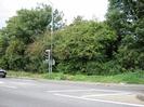 Road junction with traffic lights.
Trees and bushes on far side of road.
Road sign almost hidden in bushes.