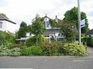 White painted house with dark slate roof.
Window in gable-end.
Trees and shrubs in front of house.
Telephone pole and estate agent's sign.