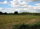 Low hedge and fields.