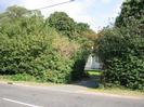 Road with high hedge on the far side.
Driveway to low white-painted house.