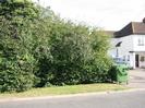 Rossbonny: white-painted house with tile roof.
Road with verge and hedge.
Large green waste bin.