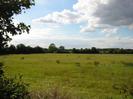 Field with trees in the distance.