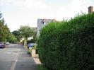 Looking east on Ye Meads.
Road with footway on the right and high hedge obscuring houses.