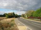 Looking north on Marsh Lane.
Scrubby verge and footway on the left.
Road with trees on the right.
