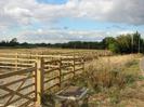 Scrubby verge with wooden fence and gate.