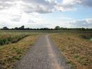 Wide path with grey chippings.
Scrubby grass on each side.
Trees on horizon.