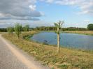 Wide path on left with grassy bank down to river.
Trees on river bank and on horizon.