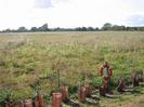 Fence with row of newly-planted trees.
Life-ring on fencepost.
Scrubby field with row of trees in the distance.