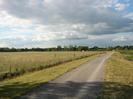 Wide path with grey chippings.
Row of newly-planted trees along fence on left.
Yellow container in distance.
Trees on horizon.