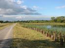 Wide path on left.
Grassy area with large group of new trees on right.
River beyond new trees.