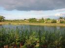 River with new planting in foreground.
Houses visible through trees in the background.