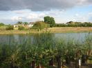 River with new planting in foreground.
Houses visible through trees in the background.