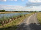 River on left with new planting on near bank.
Wide path on right with approaching cyclist.