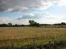 Line of new planting along wire fence with scrubby field beyond.
Trees on horizon.