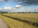 Grassy bank leading down to row of newly-planted trees and wire fence.
Scrubby field beyond, with houses and trees visible in the distance.