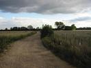 Gravel track with wire fence and bushes on right.
Trees in distance.