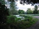 Pond with trees around it and open area on the right.