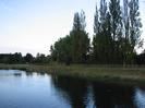 River with tall trees on far bank.