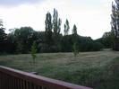 Field with trees.
Part of bridge railing in foreground.