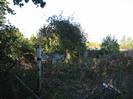 Derelict land with bushes and corrugated-iron fence.