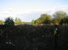 Scrubby undergrowth with trees and lake in background.