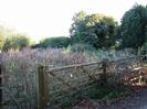 Wooden five-bar gate leading to scrubby land.