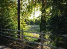 Wooden rail fence with trees and river beyond.