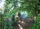 Path with wooden paling fences and trees.