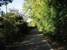 Narrow lane with trees on both sides.
Telephone pole on left.