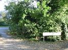 Gravel driveway on left.
Trees and bushes on right with low sign.