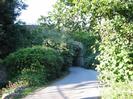 Narrow lane with railway bridge.
Bushes on each side.