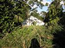 Bushes and trees with end wall of white house visible through the gap.