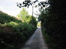 Looking east on Amerden Lane.
Railway embankment on left with telephone pole.
Trees on the right.