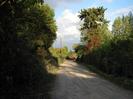 Looking east on Amerden Lane.
Trees on both sides of gravel road.