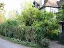House with bushes in front.
Path with iron gate on the right.