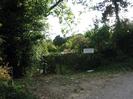 Fence and trees with sign "KENNELS & CATTERY, GROOMING SALON, FIRST TURNING LEFT"
