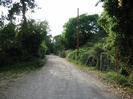 Looking west on Amerden Lane.
Gravel road with trees on each side.
Telephone pole on right.