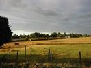 Fields with wire fences.
Trees on left and in the distance.
Horse in near field.
Farm buildings in the distance.