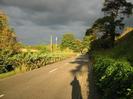 Looking east on Approach Road.
Bushes and trees on left, with telephone pole and cellphone mast.
Railway embankment on right, with Scots Pine trees.